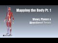 Mapping of the Body Quiz