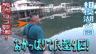 相模湖公園 おかっぱりの意外な穴場で良型バス釣れた 最強ロコの外来魚ハンター登場 Youtube 相模湖公園 おかっぱりの意外な穴場で良型バス釣れた 最強ロコの外来魚ハンター登場 Youtube