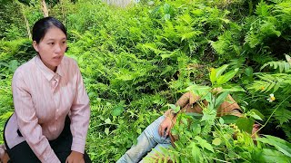 Download Lagu Full video Linda was helpless when she saw Jack lying on the ground MP3 Download Lagu Full video Linda was helpless when she saw Jack lying on the ground MP3