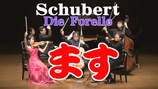 シューベルト ピアノ五重奏曲「鱒」イ長調 (概要欄に楽曲解説動画へのリンクがあります）  Schubert, Franz:Piano Quintet "Trout" A-Dur D 667