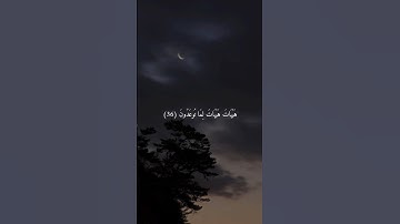 #الشيخ_ياسر_الدوسري #القرآن_الكريم #تلاوة_خاشعة