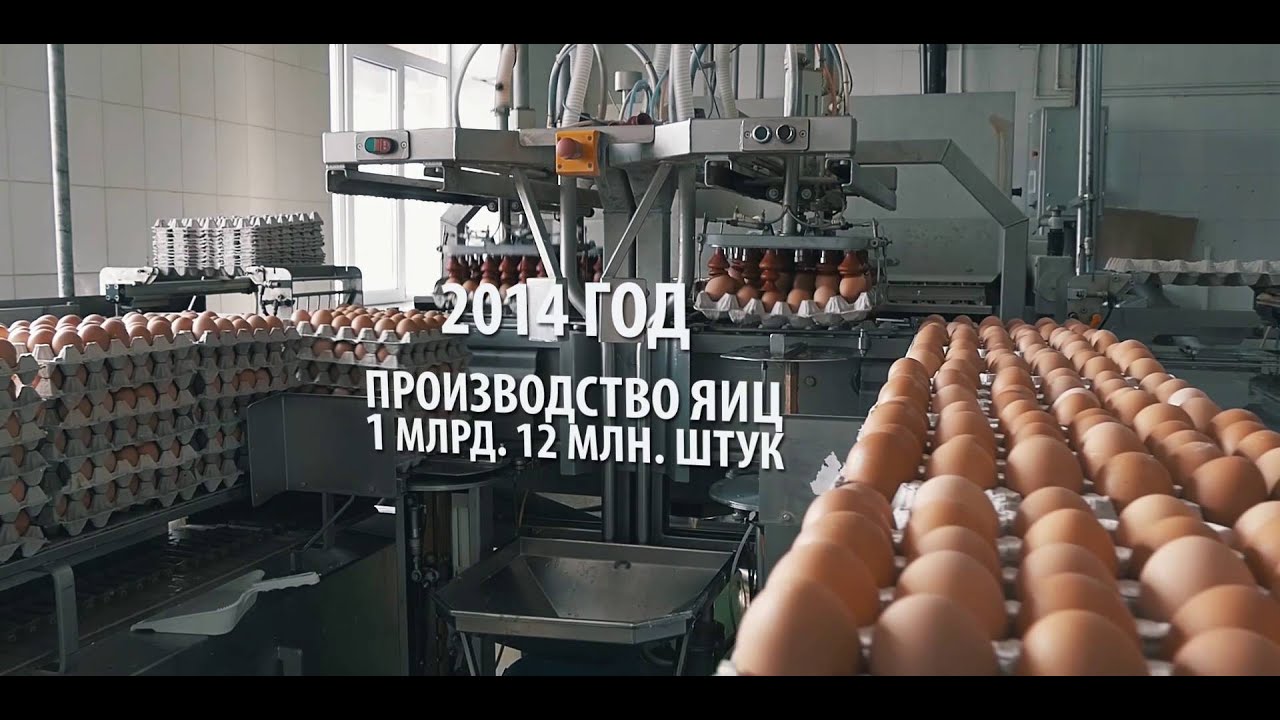 Информация о ОАО «Птицефабрика «Боровская» на сайте Тюменскаяобласть.рф
