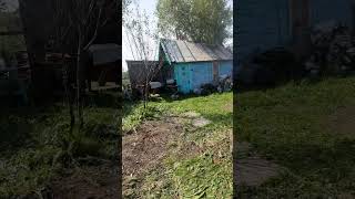 Уборка участка на даче#2
