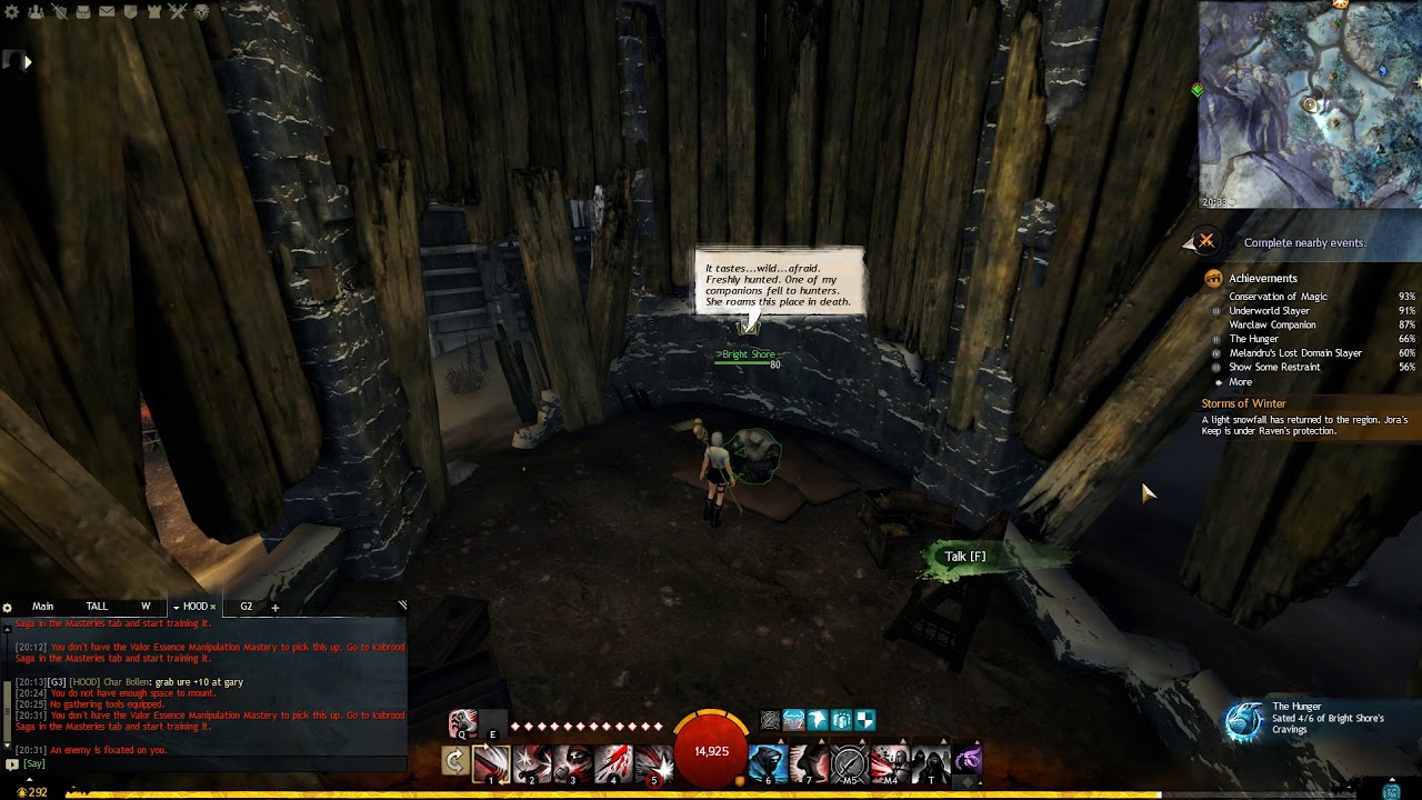 Guild Wars 2 (The Hunger collection) - 04 Delivered Rabbit Meat Chunk ...