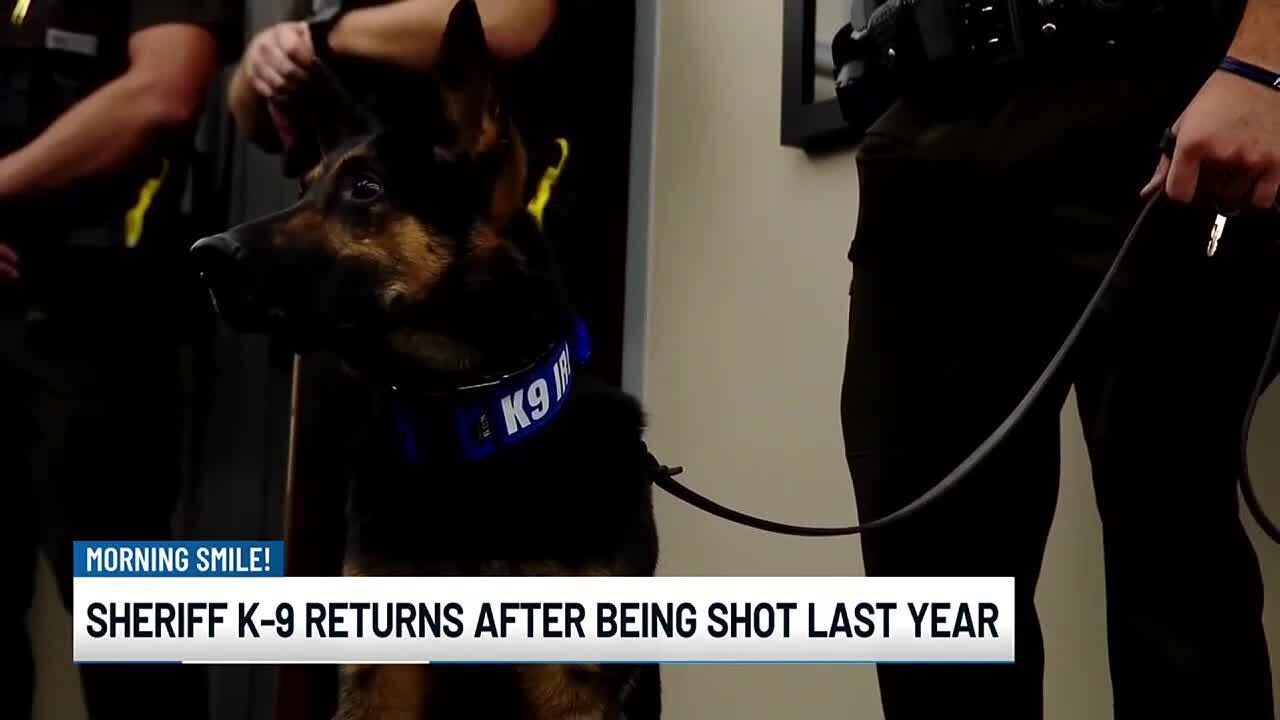 Morning Smile: Sheriff K-9 returns to work after being shot last year ...