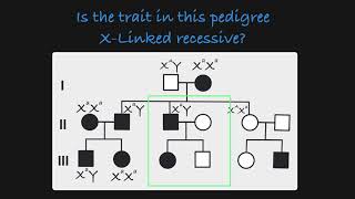 X-Linked Recessive Traits in a Pedigree