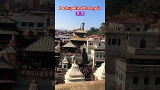 Pashupatinath temple KTM Nepal ?? visit 2024 travel vlog temple religion harharshambhu