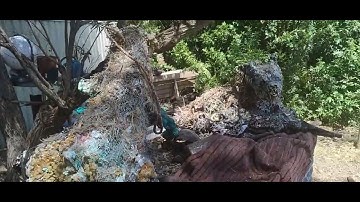 THE ANNIHILATOR: Anatomy of a Refusal