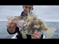 I FINALLY DID IT!!!! Catching John Dory - Autumn 2020 - Sea Fishing UK.