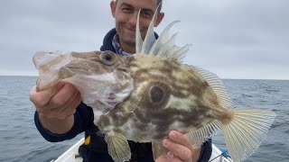 I FINALLY DID IT!!!! Catching John Dory - Autumn 2020 - Sea Fishing UK.