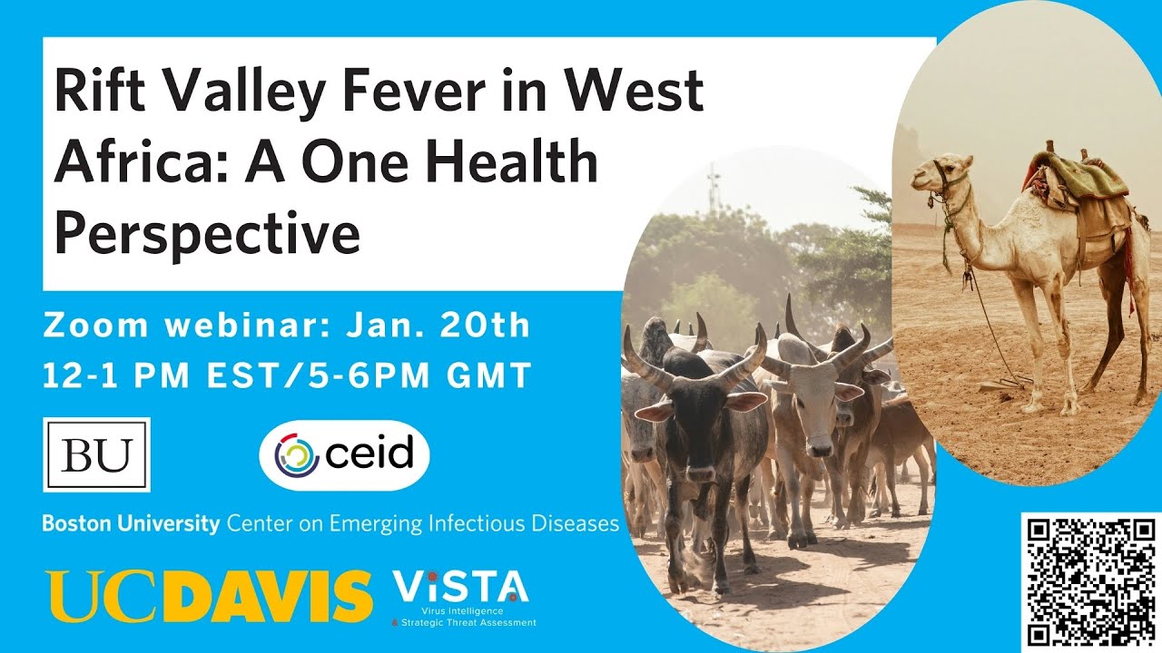 Rift Valley Fever in West Africa: 2025 Outbreak