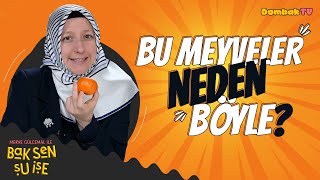 Merve Gülcemal İle Bak Sen Şu İşe Bu Meyvelerin Neden Kabuğu Var Ki? 9Bölüm