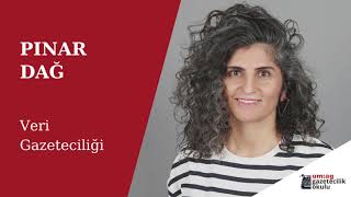 Veri Gazeteciliği / Pınar Dağ