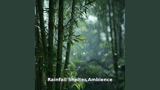 Rainfall Shelter Flow, Pt.13