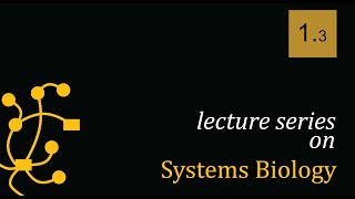 Systems Biology 1.3: How to Use JSim