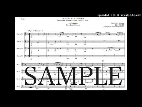 シューベルト「アルペジョーネソナタ〜第1楽章」ホルン四重奏版 - フランツ・シューベルト