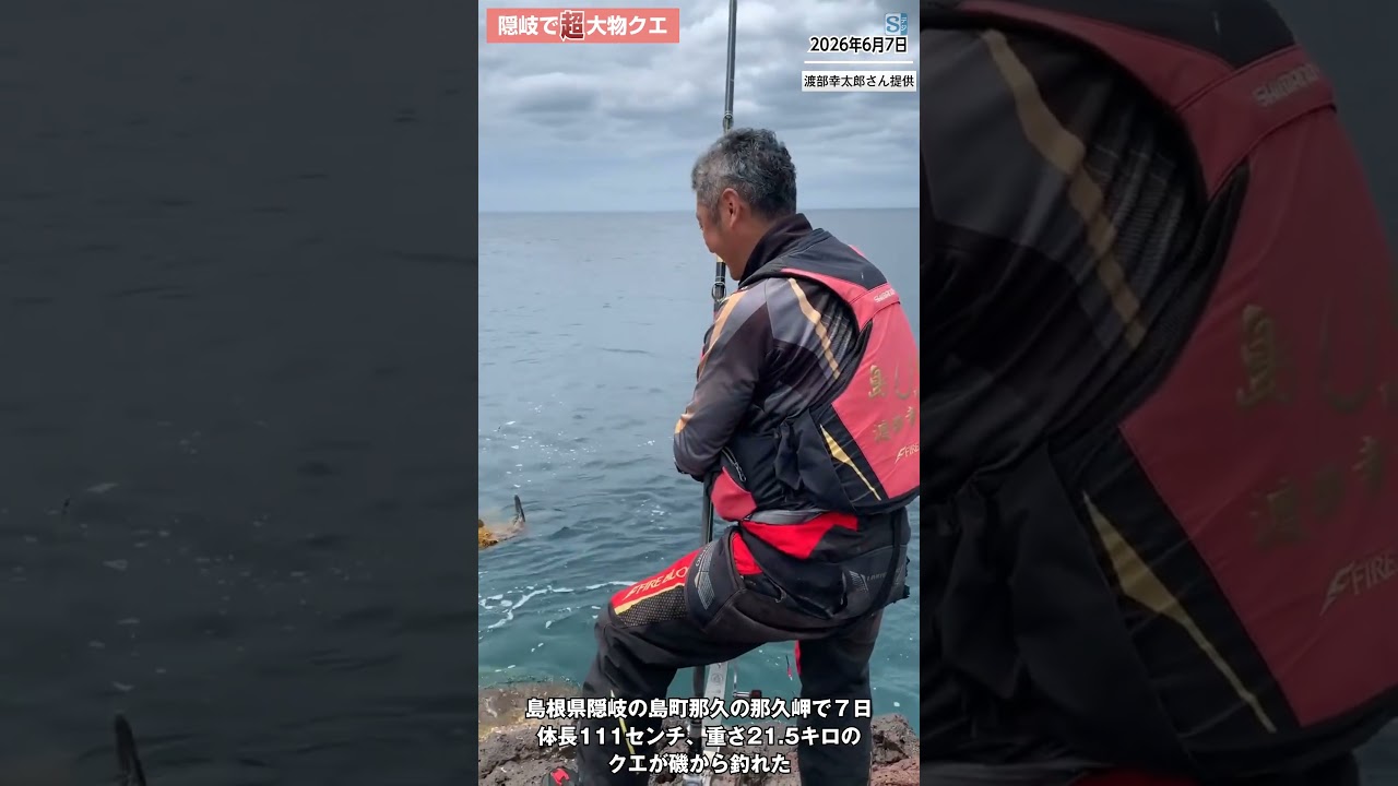 隠岐の島で巨大クエ 島根県