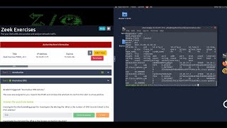 Zeek Exercises - Anomalous DNS - | Tryhackme SOC Level 1 | SAL1