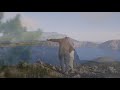 Middle of video