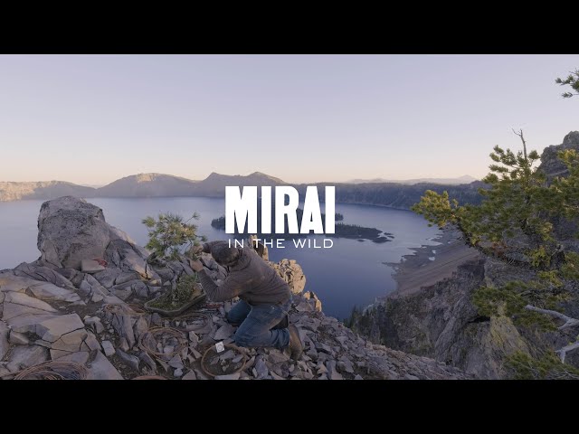 Mirai in the Wild: Crater Lake class=
