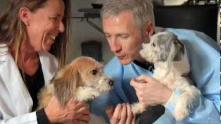 Jessica Ward — Terry Center: New Era in Veterinary Medicine