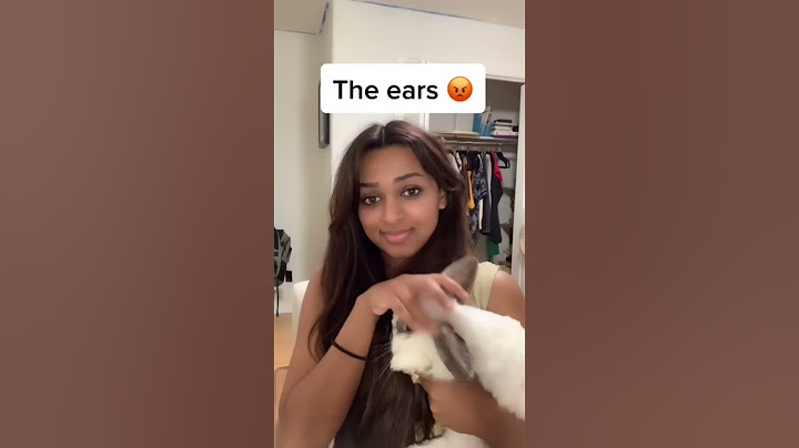 Most abusive ways to hold your rabbits:(