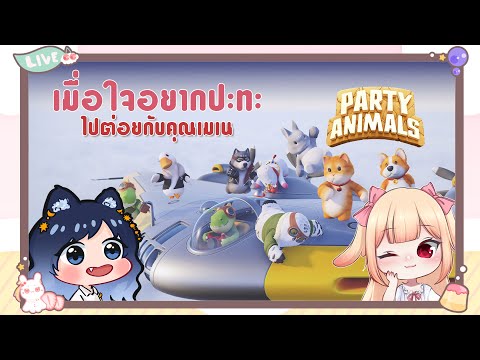 【🔴LIVE 】วันนี้ว่าจะไลฟ์ : ใส่เข้าไปที่หน้าเมเนเจอร์ !!