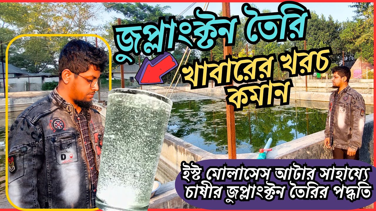 জুপ্লাংক্টন তৈরির মাধ্যমে প্রাণীজ প্রোটিন নিশ্চিত করে মাছের খাবার খরচ কমানোর কৌশল চাষীর।