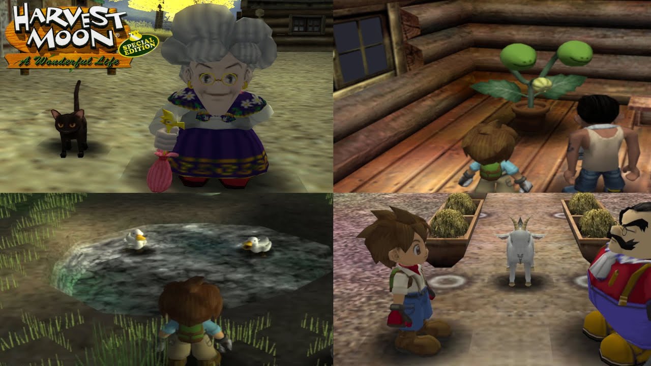 Hadiah Peralatan Warga Tahun Kedua - Harvest Moon: A Wonderful Life Special Edition