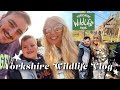 YORKSHIRE WILDLIFE PARK VLOG MARCH 2022