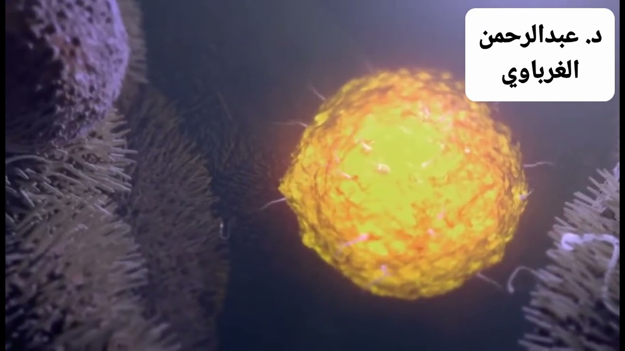 الاخصاب احياء ثانويه عامه دكتور عبدالرحمن الغرباوي