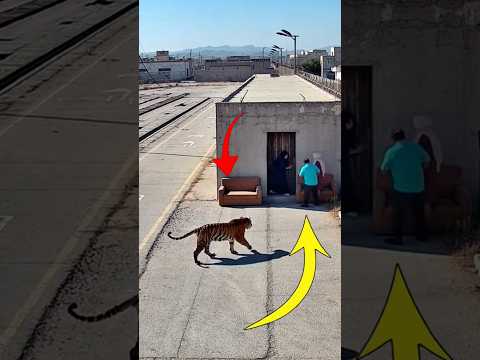 لم تكن قوتنا بل رحمة الله التي أنقذتنا فالحمدلله لايك     