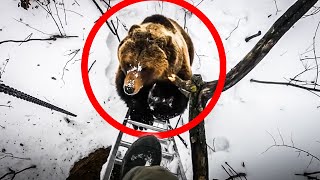 5 Bear Encounters that will give you PARANOIA