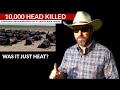 THOUSANDS OF CATTLE SUSPICIOUSLY DIE in Kansas Heat Wave. | WHAT HAPPENED?