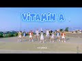 Vitamin a mong nan nan  flip  baby monkey  dc by mk  mk dance studio