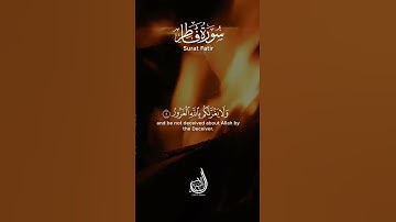 ما تيسر من سورة فاطر | بلال الشاكر