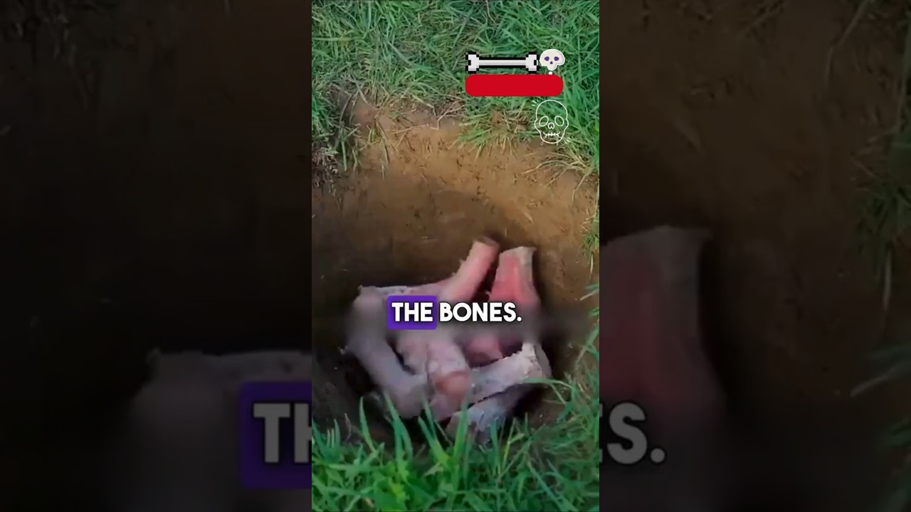 He Turns Buried Bones Into Luxury Art 🤯 