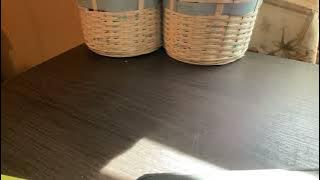 Sussy  Love Chicken Skin