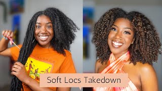 4 Week Old Soft Loc Removal, Aftercare Treatment & NEW HAIR COLOR!!!