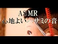 【ASMR/音フェチ】マネキンの髪を刈り上げるハサミの音が心地よい　The sound of scissors cutting the mannequin's hair is soothing