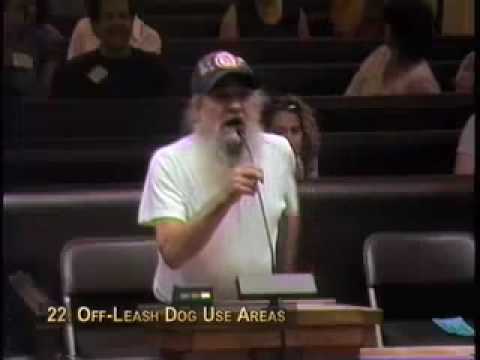 Santa Cruz city council public comments