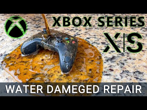 So reparieren Sie einen wasserbeschädigten Xbox Series X S Controller