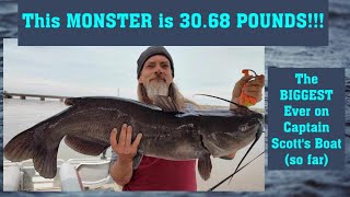 This Catfish is the BIGGEST EVER Caught on Captain Scott's Boat [so far] ~ 30 68 POUNDS!!! ~ WATCH!