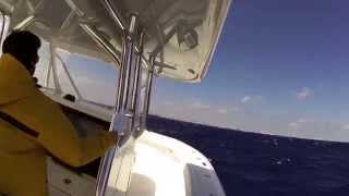 Freeman 37 running offshore Miami 2014