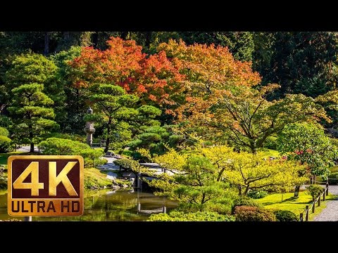 Video: Japanese Garden (part 2)