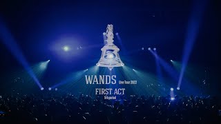 Live Blu-ray「WANDS Live Tour 2022 ～FIRST ACT 5th period～」【TEASER】