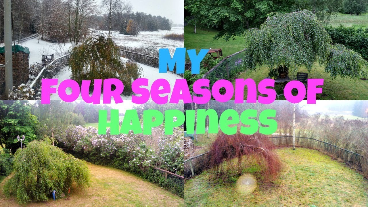 SWEDEN BEAUTIFUL FOUR SEASONS |  SVERIGE VACKRA FYRA SÄSONGER | 🇸🇪