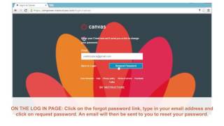 How to change your password in Canvas