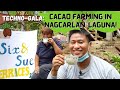 Techno-Gala: Cacao Farming in Nagcarlan, Laguna - Susan U. Bagsit, Magsasaka Siyentista