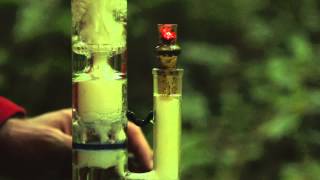 Bongo Szop On Tour Blaze X2 Perc